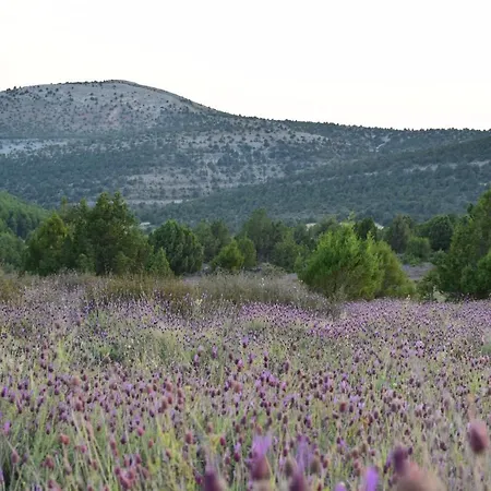 La Mira Hébergement de vacances Barriosuso Del Val